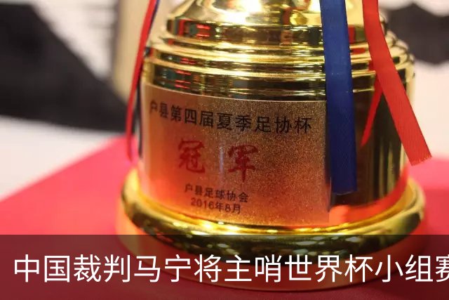 中国裁判马宁将主哨世界杯小组赛第二轮比赛